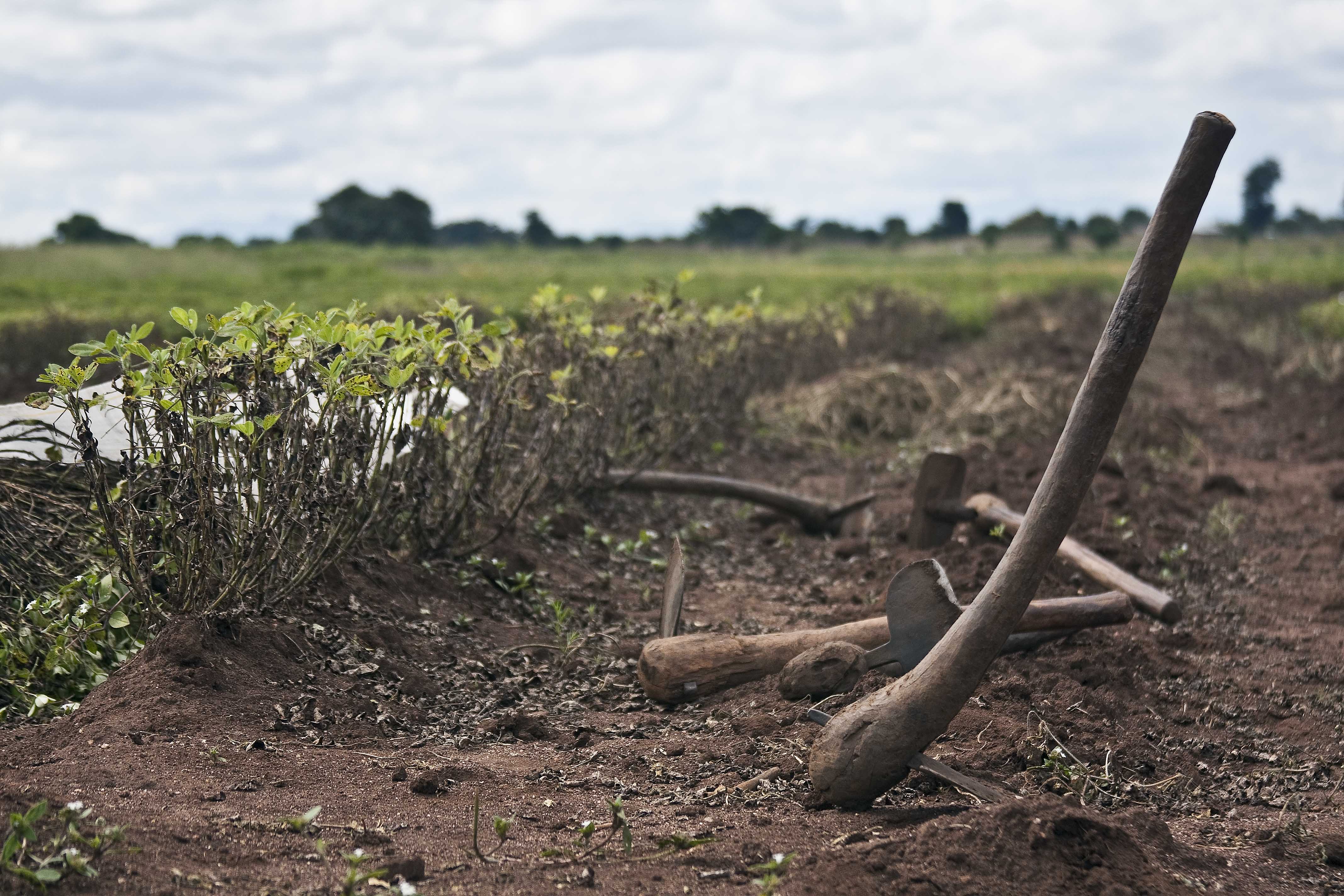 Photo of farm tools in Malawi. Image Credit: Swathi Sridharan, CC BY-SA 2.0